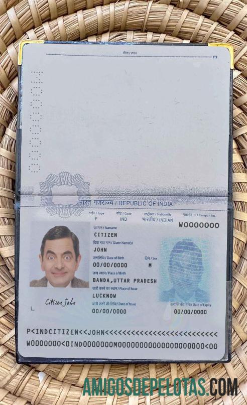 Visual fotográfico atual do India Pass 2020 baixar para verificação